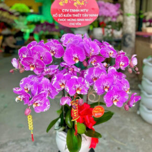 Shop hoa Tình Yêu Phường Kim Liên Hà Nội - Đa dạng mẫu mã - Chất lượng uy tín